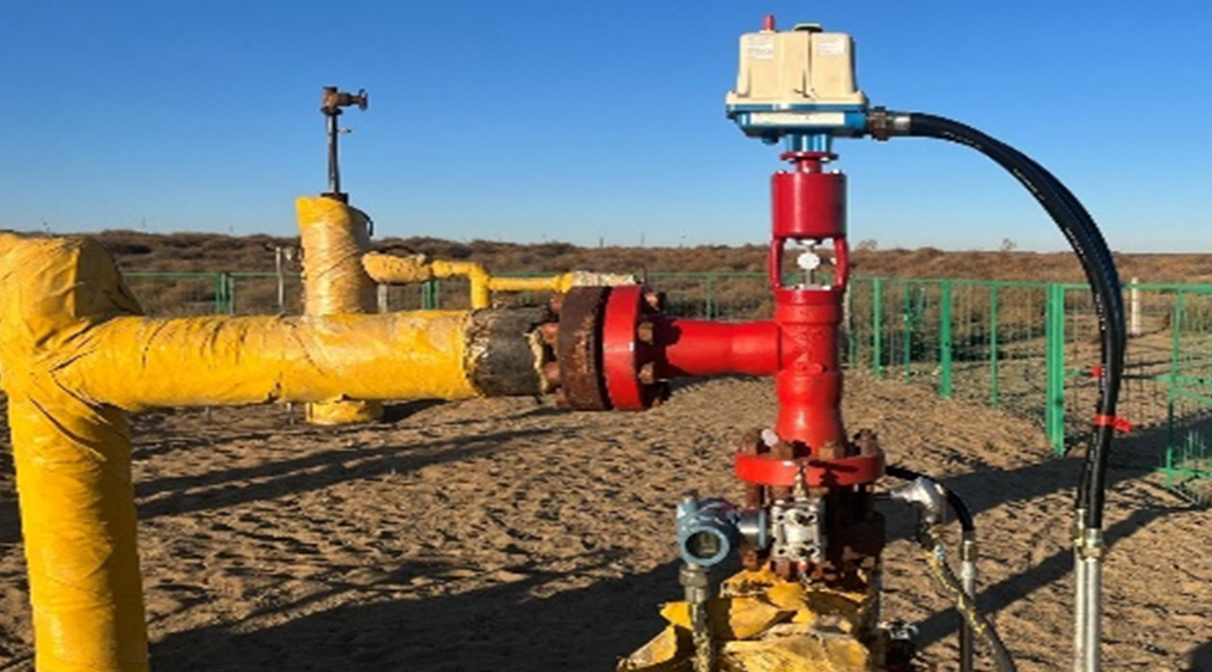 17296638396718935f72ed0